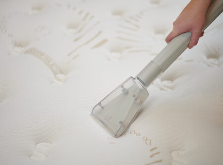 7898152183411 - 7898152183428 - CARPET CLEANER - 12