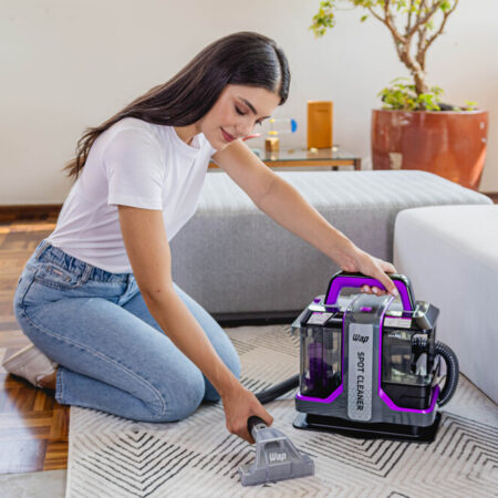7899831312474 7899831312481 - SPOT CLEANER W3 - 01