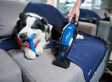 PET-CLEANER-MOB-02-scaled