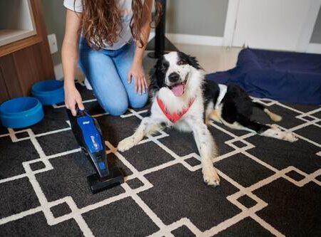 PET-CLEANER-MOB-08-scaled