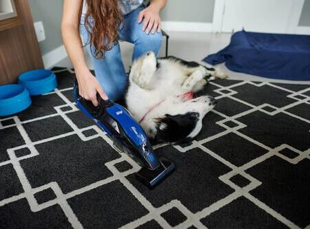 PET-CLEANER-MOB-09-scaled