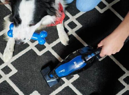 PET-CLEANER-MOB-11-scaled