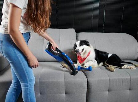 PET-CLEANER-MOB-14-scaled