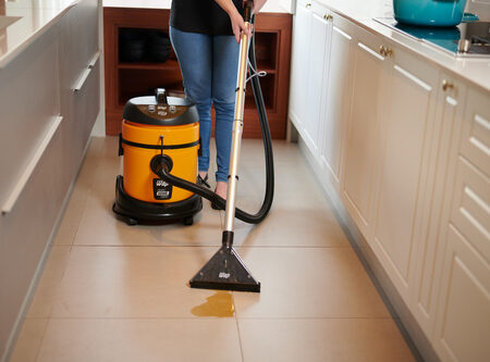 7898152180908 - 7898152180915 - HOME CLEANER - 15