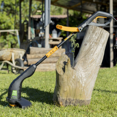 FW011390-FW011391-WG AG01E-31